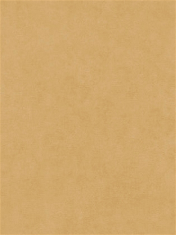 Counterpoint 41005 Barrow Fabric