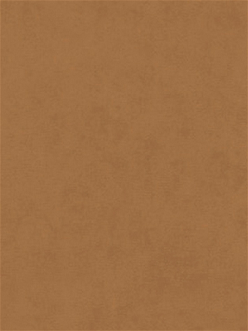 Counterpoint 41305 Barrow Fabric