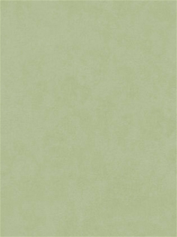 Counterpoint 72101 Barrow Fabric