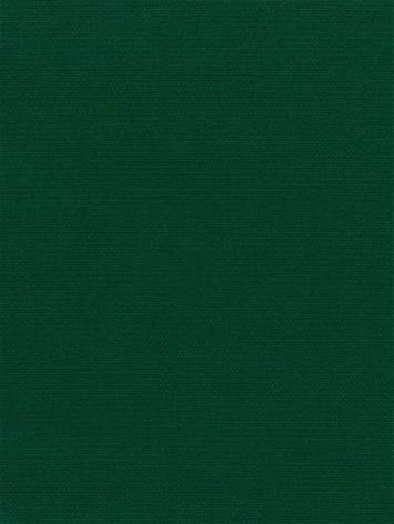 Canvas 5446 Forest Green