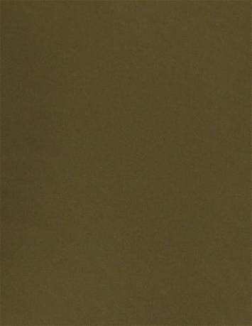 Solid Mink Brown SunReal Performance Fabric 