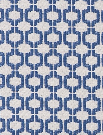 Coraleen Blue Bird Inside Out Fabric