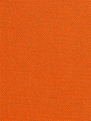 DK61731 35 Tangerine