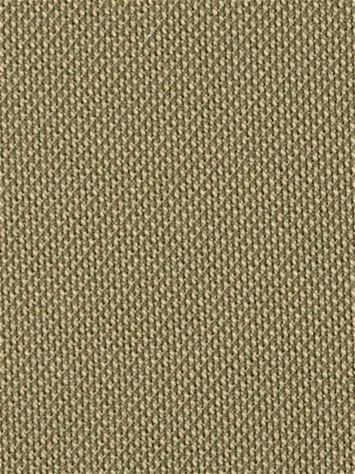 Fergus 621 Caramel Covington Fabric 