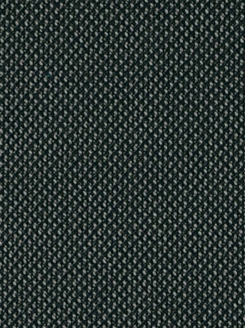 Fergus 9 Graphite Covington Fabric 
