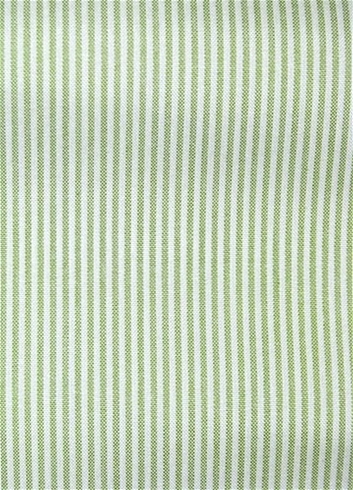 Laguna Celery Ticking Fabric