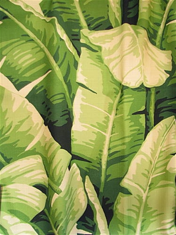 Las Olas Green Banana Leaf