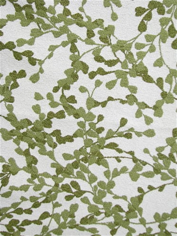 M11181 Basil Botanical Fabric