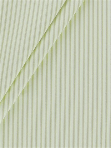 Berlin Ticking Stripe Meadow Magnolia Home Fashions Fabric