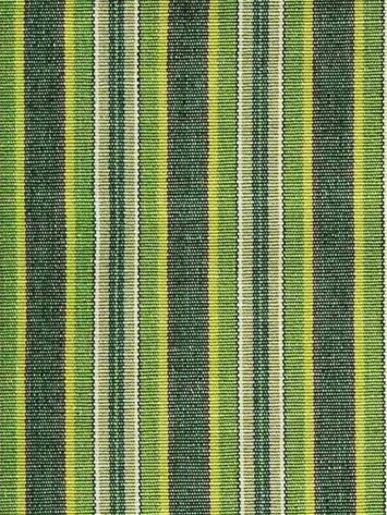 Napa Stripe Fern Cotton Fabric