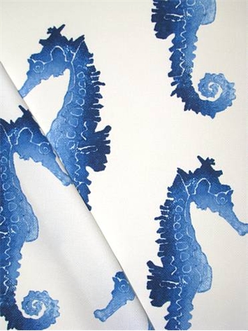 ODL Seahorse Bluemarine