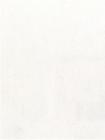 PEBBLETEX 143 OPTIC WHITE Canvas Fabric