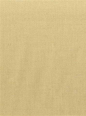 PEBBLETEX 115 OLD IVORY Canvas Fabric