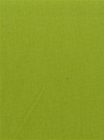PEBBLETEX 208 APPLE GREEN Canvas Fabric