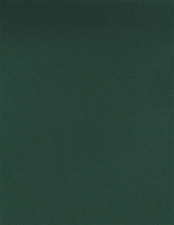 Solid Forest Green SunReal Performance Fabric 