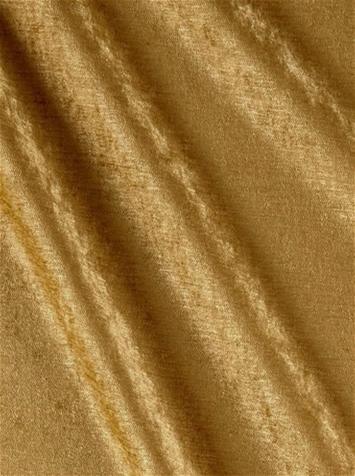 Saxony 881 Vintage Gold Velvet