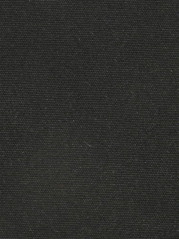 Terrasol Canvas Black Tempo Fabric 