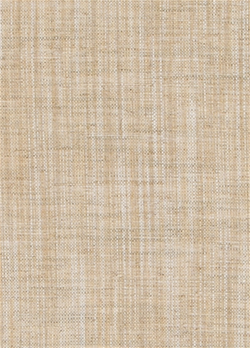 Robert Allen Tinto Lino Sandstone Linen Fabric