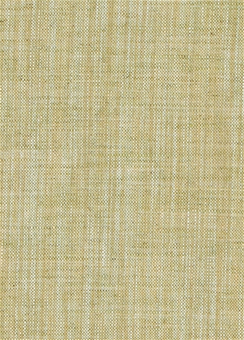 Robert Allen Tinto Lino Spring Grass Linen Fabric
