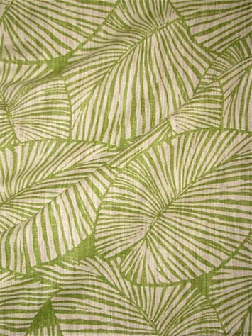 Tristan Leaf Richloom Fabric