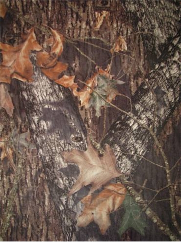 Mossy Oak Break Up Infinity Hardwoods