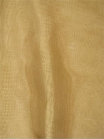 Voile Victorian Gold
