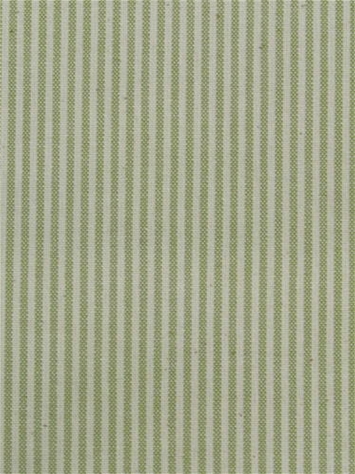 Baldwin Grass P. Kaufmann Ticking Fabric 