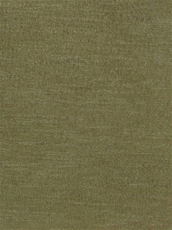 Brodex Camel Swavelle Fabric 