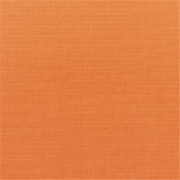 Canvas Tangerine