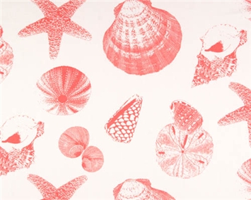 Shells Coral/White
