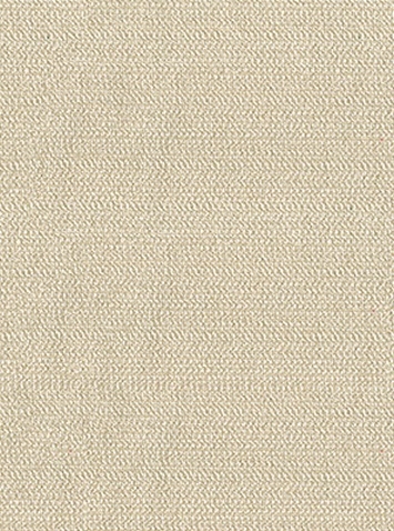 Tobee Tully Linen - Kate Spade Fabric