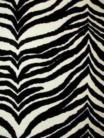 Velvet Zebra Black