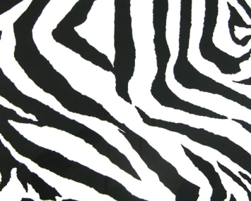 Zebra Black/White