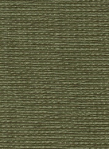 SONORA OLIVE  D923