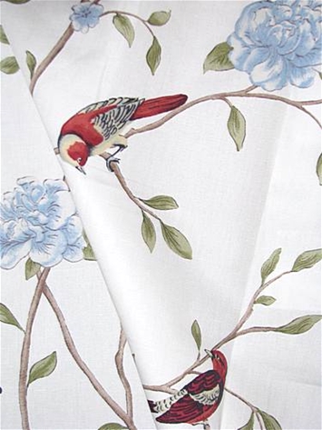 8613703 Exotic Garden