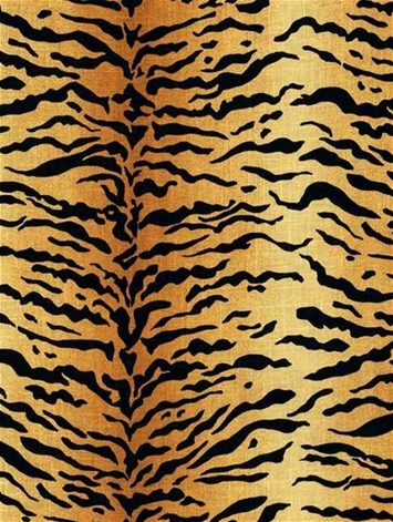 4401603 Amber Bengal