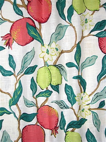 8355803 Pomegranite