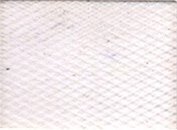 Crinoline White