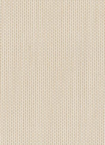 Sunbrella Canvas 5472 Birds Eye