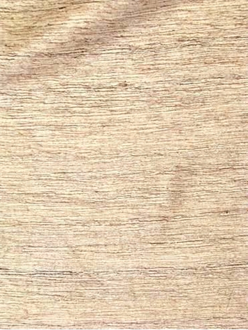 Raw Silk 8786 3 Beige