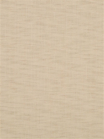 Arbor Weave BK Cream Robert Allen