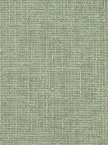Arbor Weave BK Dew Robert Allen