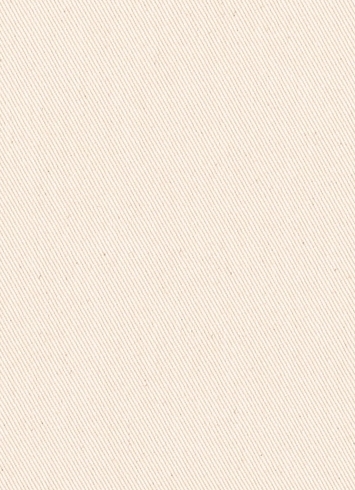 Ralph Lauren Addison Denim Muslin