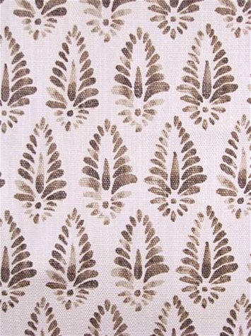 Agave Java Lacefield Designs