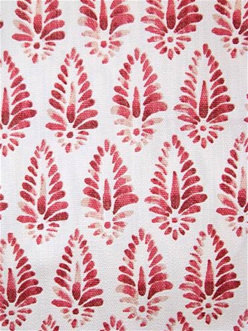 Agave Rosa Lacefield Designs