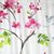 Akita Blossom