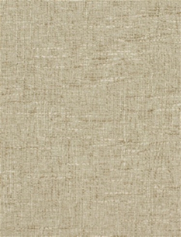 Alanna 11302 Global Design