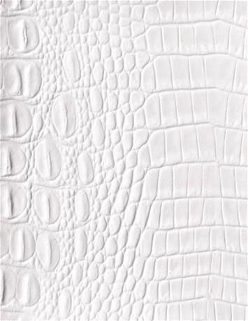Allie White Mitchell Vinyl