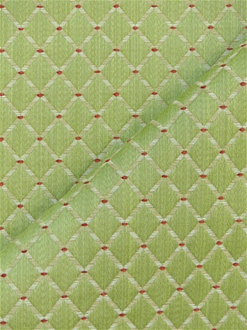 Amoy Trellis Leaf Kravet Fabric