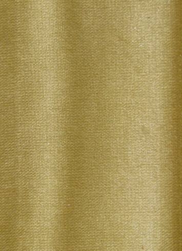 Aphrodite 89 Maize